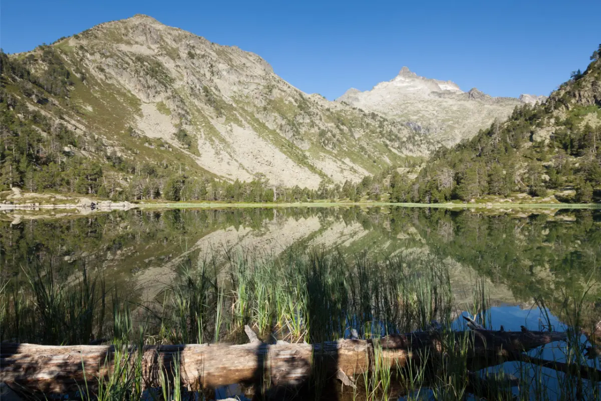RÉSERVE-NÉOUVIELLE-PYRÉNÉES